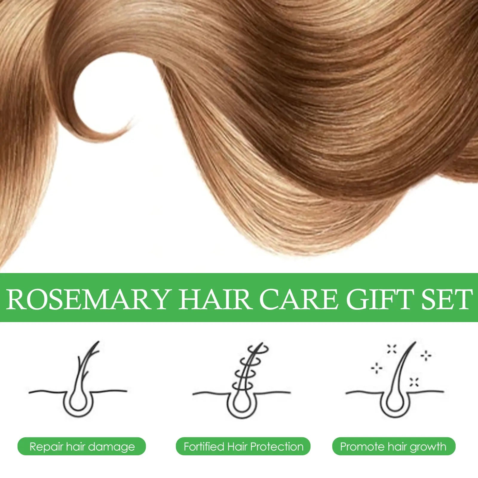 FloraFix Rosemary Set  3-in-1